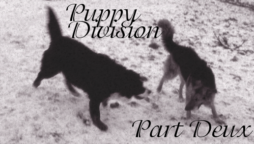 <img:stuff/puppydivisionpartdeux.png>