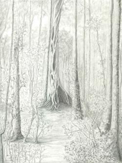 <img250*0:stuff/rainforest%20finished%20i%20hope.jpg>