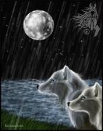 <img150*0:stuff/rainwolves.jpg>