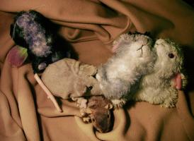 <img0*200:stuff/rat%20bunny%20orgy.jpg>