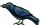 <img:stuff/raven%20copy.gif>