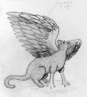 <img300*0:stuff/ravengriffin.jpg>