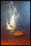 <img0*150:stuff/red%20water%20copy.jpg>