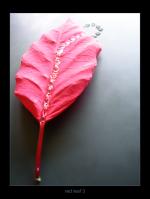 <img150*0:stuff/redboat3%20copy.jpg>