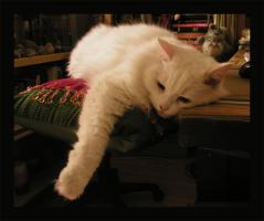 <img0*200:stuff/relax%20nn.jpg>