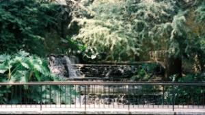 <img300*0:stuff/riverwalkfountian.jpg>
