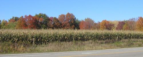 <img500*0:stuff/road%20shots%201.jpg>
