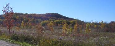 <img0*150:stuff/road%20shots%202.jpg>