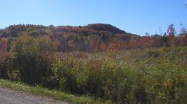 <img0*150:stuff/road%20shots%203.jpg>