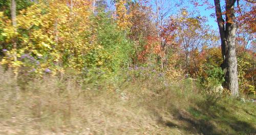 <img500*0:stuff/road%20shots%209.jpg>
