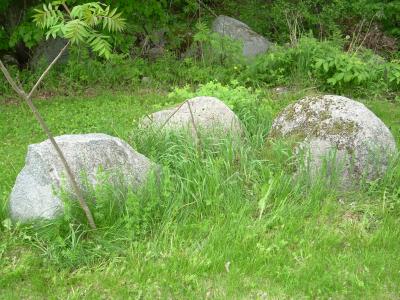 <img400*0:stuff/rocks.jpg>