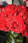 <img100*0:stuff/roeseses.jpg>
