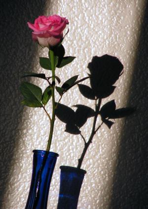 <img300*0:stuff/romance.jpg>