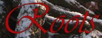 <img200*0:stuff/rootstitle%20iuna3.jpg>