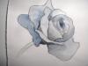 <img100*0:http://elftown.heddate.com/stuff/roseinksharky.jpg>