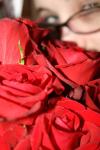 <img100*0:stuff/roseses10.jpg>