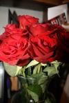 <img100*0:stuff/roseses6.jpg>