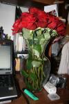 <img100*0:stuff/roseses7.jpg>