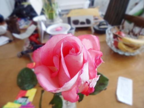 <img500*375:stuff/rosesrose.jpg>