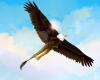 <img100*0:stuff/rouxgryphon.jpg>