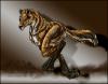 <img100*0:http://elftown.heddate.com/stuff/run%20(kopia).jpg>