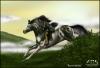 <img100*0:stuff/run%20to%20be%20free.jpg>