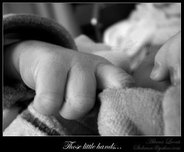 <img0*300:stuff/safehands61513.jpg>