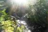sandystream