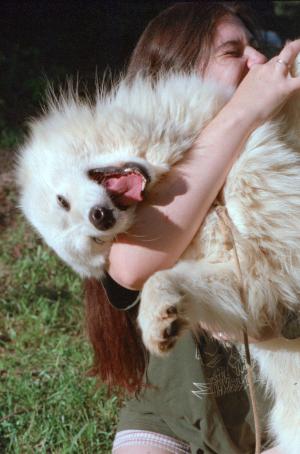 <img300*0:stuff/sc_camp0024.jpg>