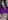 <img0*20:stuff/schnecken-details.jpg>