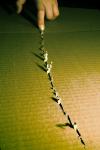 <img100*150:stuff/scratch%20copy.jpg>