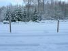 <img100*0:stuff/sf/barbwire-fence.jpg>