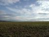 <img100*0:stuff/sf/field-1.jpg>