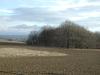 <img100*0:stuff/sf/field-11.jpg>