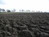 <img100*0:stuff/sf/field-13.jpg>