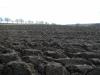 <img100*0:stuff/sf/field-14.jpg>