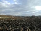 field photos
