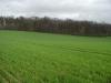 <img100*0:stuff/sf/field-20.jpg>