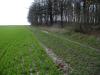 <img100*0:stuff/sf/field-21.jpg>