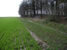Field Photos