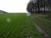 <img100*0:stuff/sf/field-22.jpg>