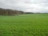<img100*0:stuff/sf/field-23.jpg>