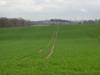 <img100*0:stuff/sf/field-24.jpg>
