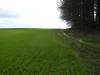 <img100*0:stuff/sf/field-25.jpg>