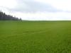 <img100*0:stuff/sf/field-26.jpg>