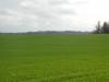 <img100*0:stuff/sf/field-28.jpg>