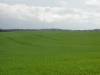 <img100*0:stuff/sf/field-29.jpg>
