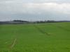 <img100*0:stuff/sf/field-30.jpg>
