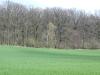 <img100*0:stuff/sf/field-33.jpg>