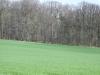 <img100*0:stuff/sf/field-34.jpg>